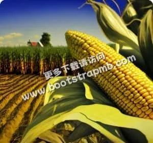 Taking care of the Earth one field at a time - 球探体育