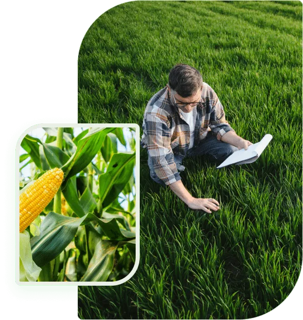 Growing strong feeding farming futures - 球探体育